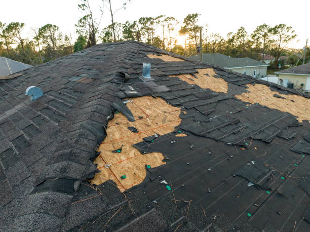 Best Roof Maintenance and Cleaning  in North Bend, WA